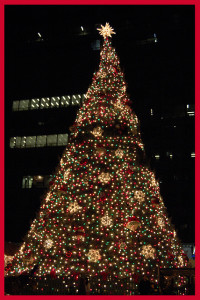 christmas tree chicago pcxU